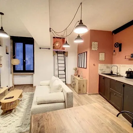 Le Terracotta Des Antiquaires, Avec Mezzanine Апартаменты Гренобль